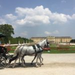 Wien Schloss Schoenbrunn Pferdekutsche