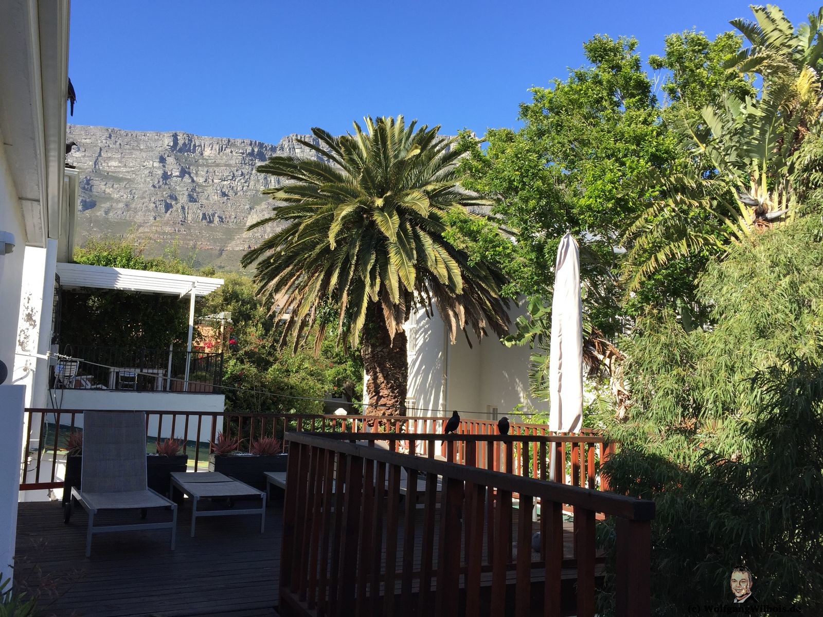 Cactusberry Lodge Kapstadt Capetown Dachterrasse Tafelberg