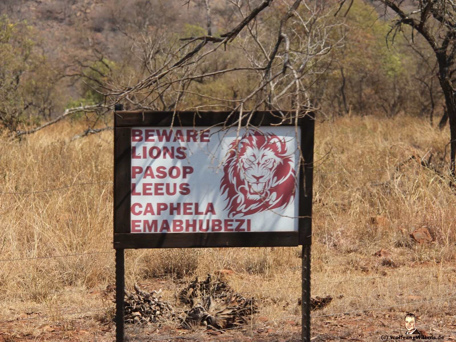 Nkomazi Game Reserve Südafrika Achtung Löwen