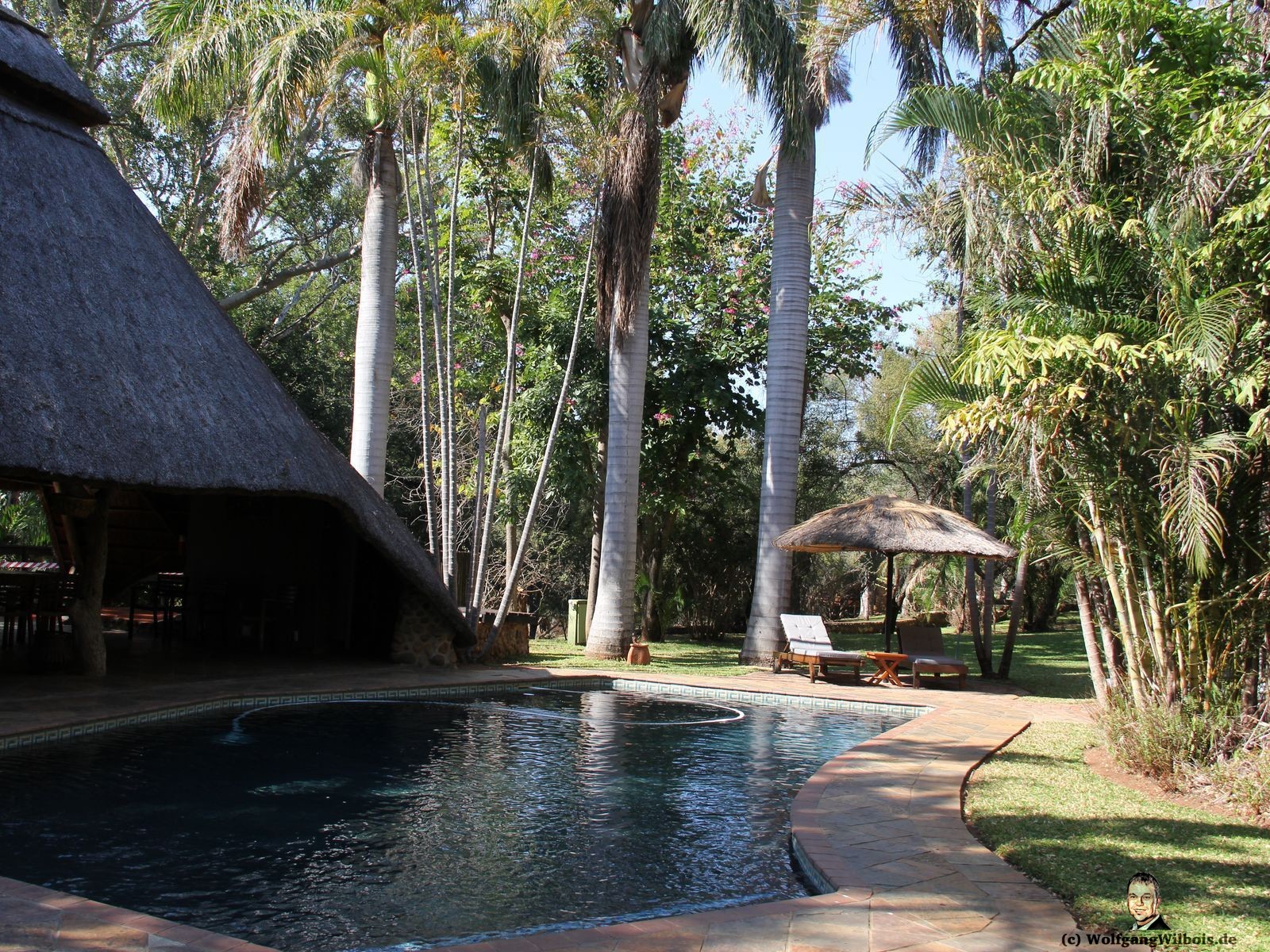 Blyde River Wilderness Lodge Hoedspruit Pool