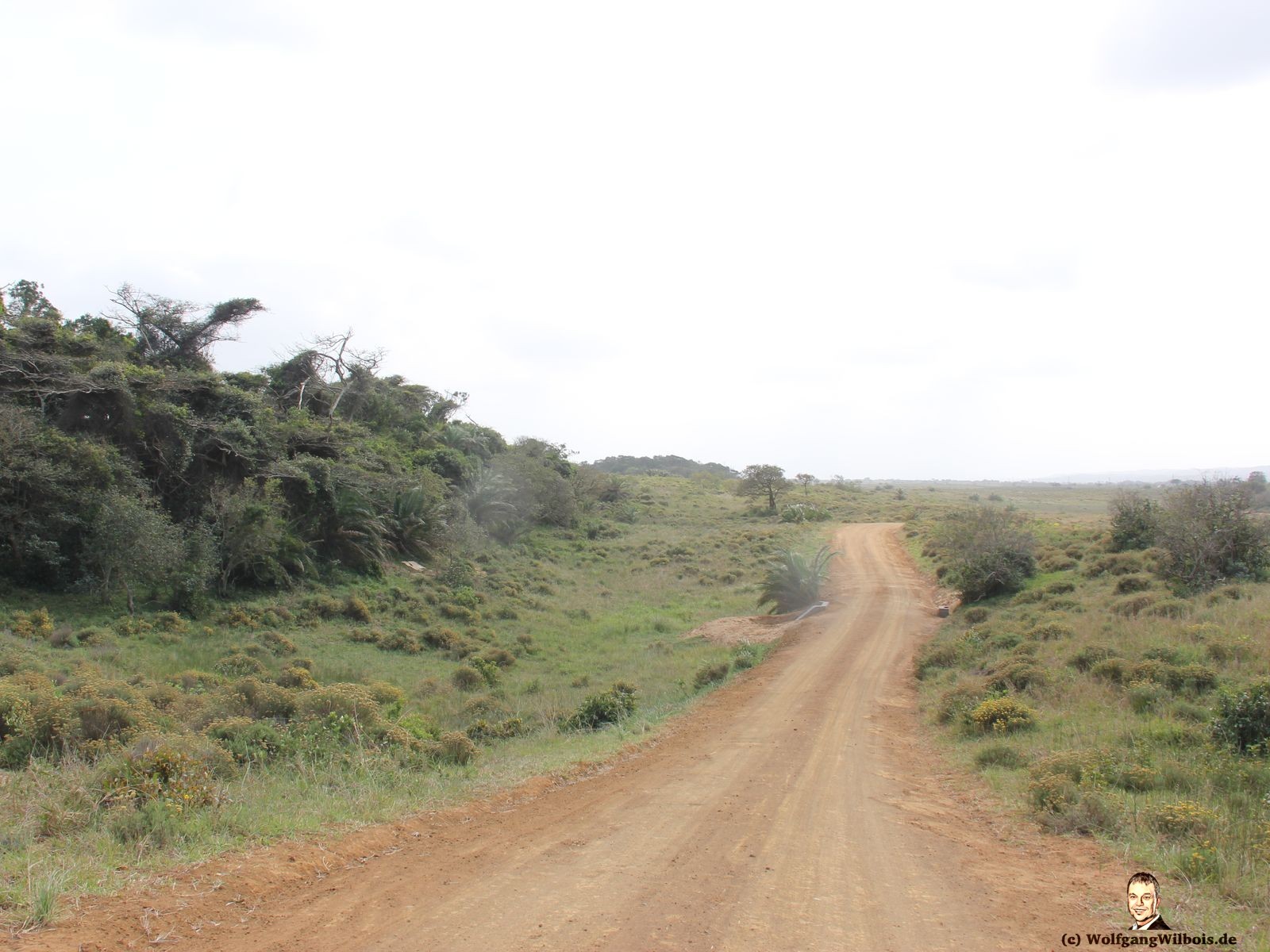 iSimangaliso Wetland Park Strasse