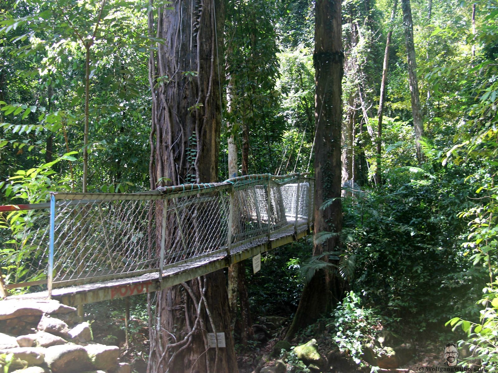 Backpacking Borneo Santubong Nationalpark