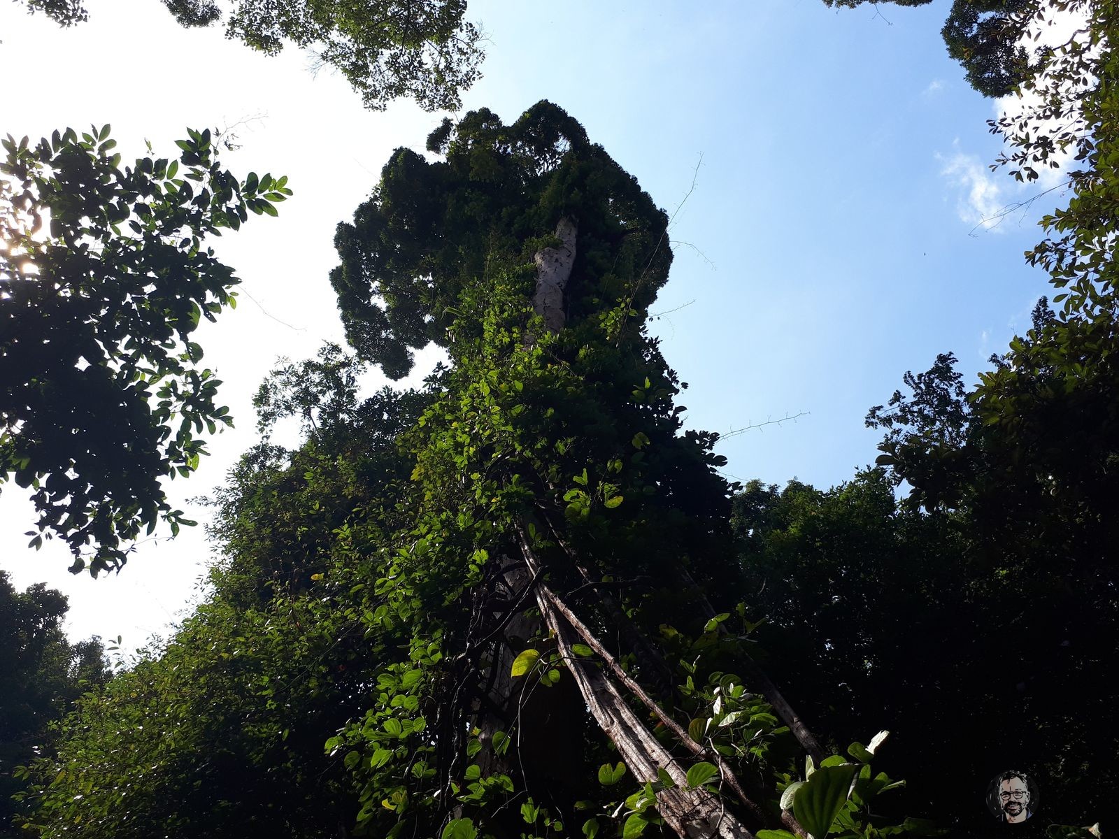 Backpacking Borneo Santubong Nationalpark