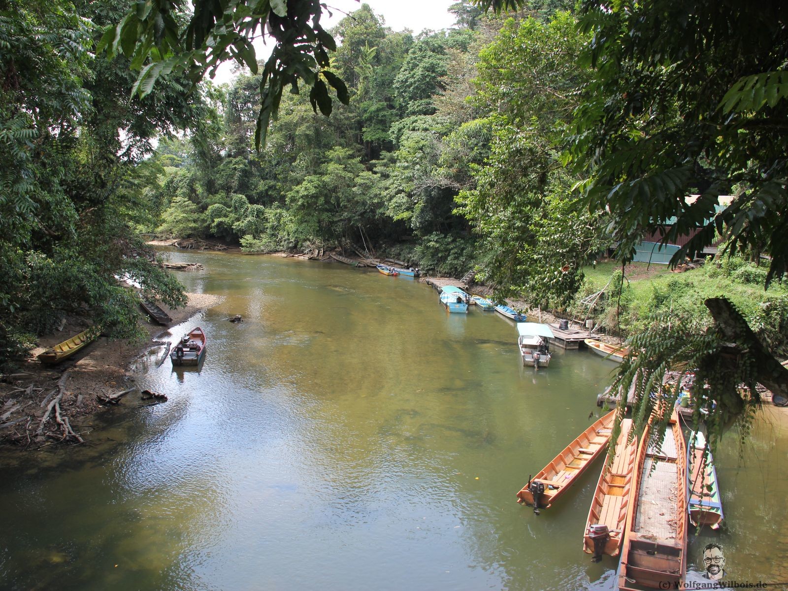 Borneo Tag 8 Mulu Nationalpark Fluss