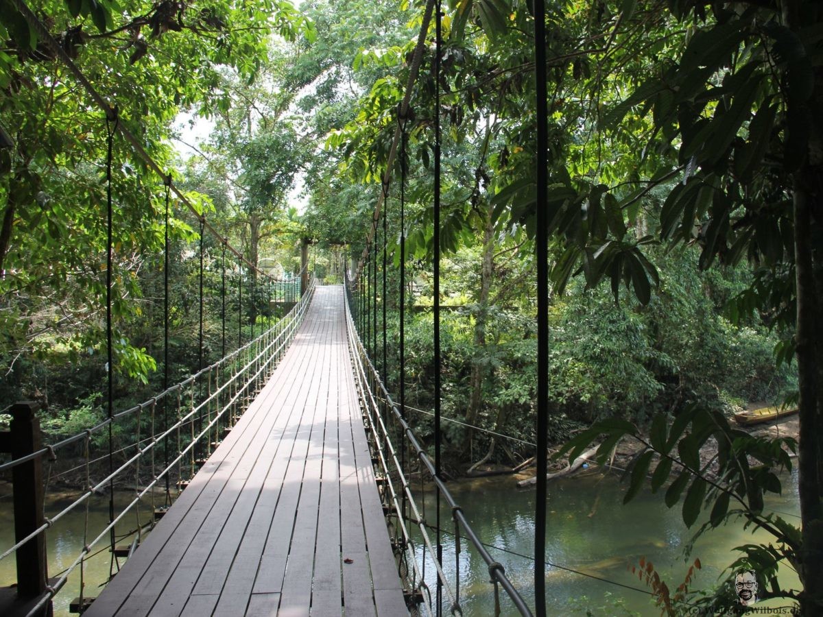 Borneo Tag 8 Mulu Nationalpark Bruecke