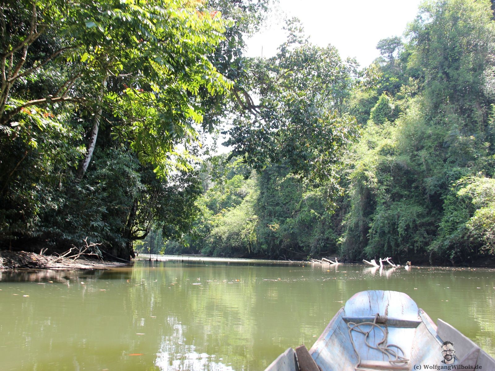 Borneo Tag 09 Mulu Nationalpark Dschungel