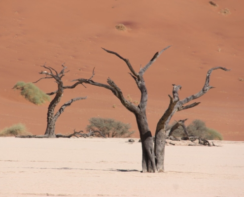 Namibia Tag 03 Deadvlei