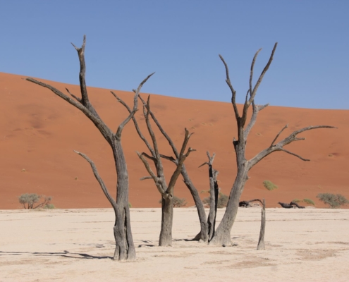 Namibia Tag 03 Deadvlei